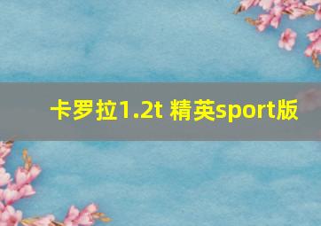 卡罗拉1.2t 精英sport版